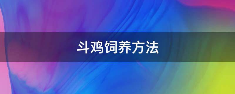 斗鸡饲养方法（斗鸡的饲养管理）