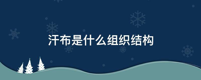 汗布是什么组织结构（汗布采用的组织是）