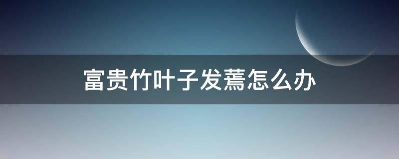 富贵竹叶子发蔫怎么办（富贵竹叶蔫了用什么办法补救）