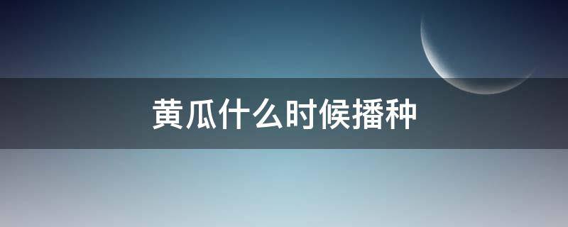 黄瓜什么时候播种 夏天黄瓜什么时候播种