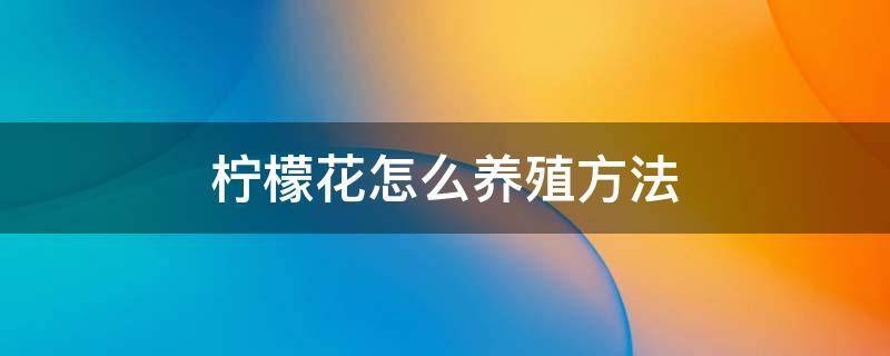 柠檬花怎么养殖方法 柠檬花的养殖方法怎样过冬