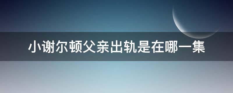 小谢尔顿父亲出轨是在哪一集（小谢尔顿爸爸出轨哪一集）