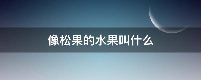 像松果的水果叫什么（一种像松果的水果叫什么）