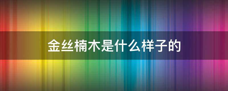 金丝楠木是什么样子的（金丝楠木到底是什么木）