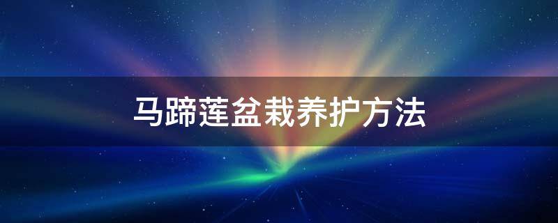 马蹄莲盆栽养护方法 马蹄莲怎样盆栽与养护?