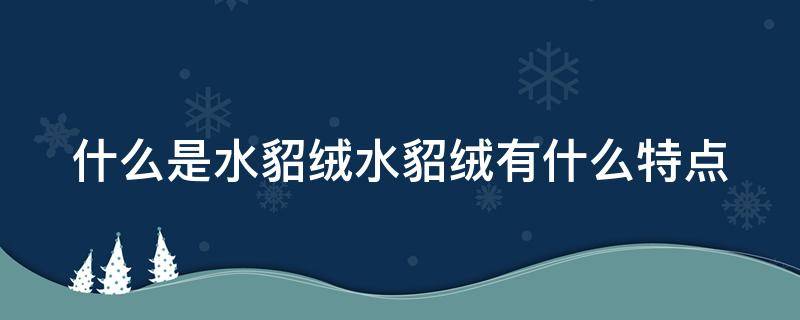 什么是水貂绒水貂绒有什么特点 何为水貂绒