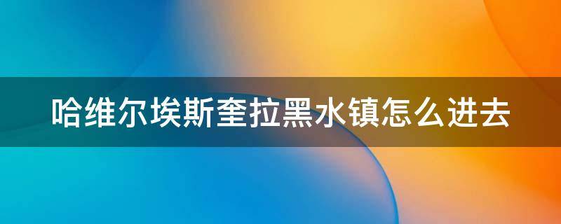 哈维尔埃斯奎拉黑水镇怎么进去（黑水镇 哈维尔）