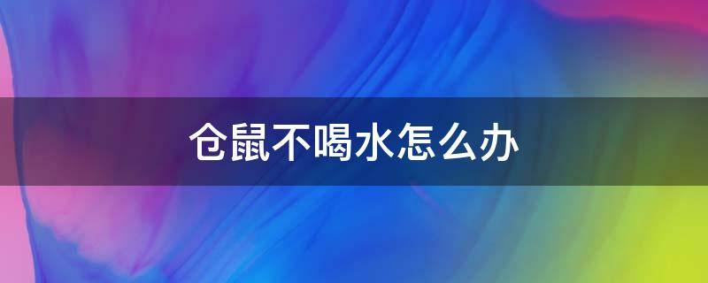 仓鼠不喝水怎么办（新买的仓鼠不喝水怎么办）