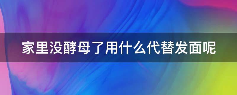 家里没酵母了用什么代替发面呢 没有酵母可以用什么代替发酵