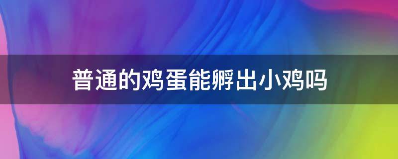 普通的鸡蛋能孵出小鸡吗 鸡蛋可以直接孵出小鸡吗