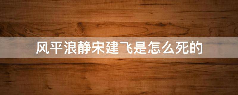 风平浪静宋建飞是怎么死的（风平浪静为什么撞死）