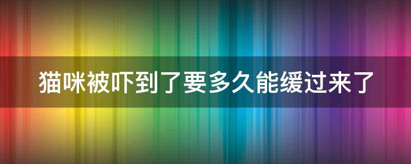 猫咪被吓到了要多久能缓过来了（猫咪惊吓后的10大表现）