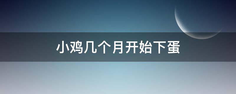 小鸡几个月开始下蛋 小鸡几个月开始下蛋下蛋后还能长吗