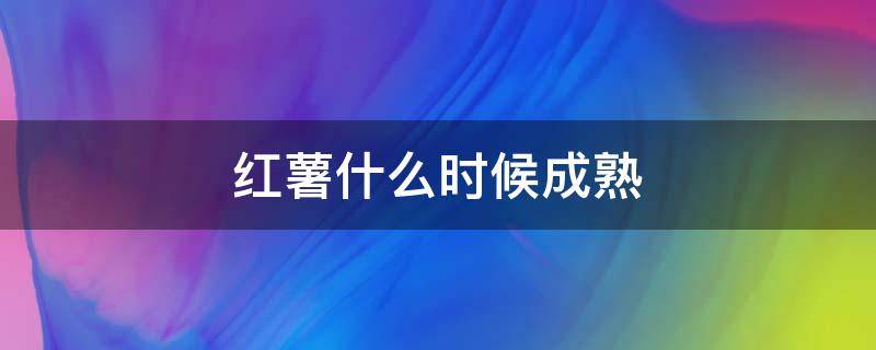 红薯什么时候成熟 云南红薯什么时候成熟