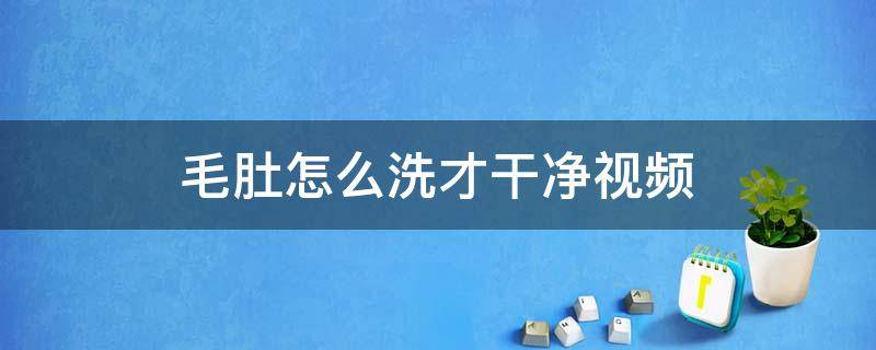 毛肚怎么洗才干净视频 毛肚清洗流程视频