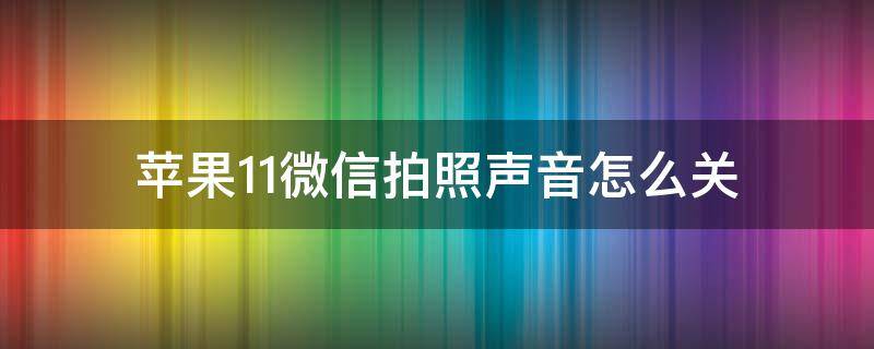 苹果11微信拍照声音怎么关 苹果11微信拍照的声音怎么关