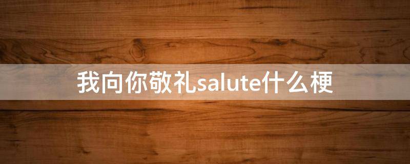 我向你敬礼salute什么梗 向你敬礼salute是什么梗