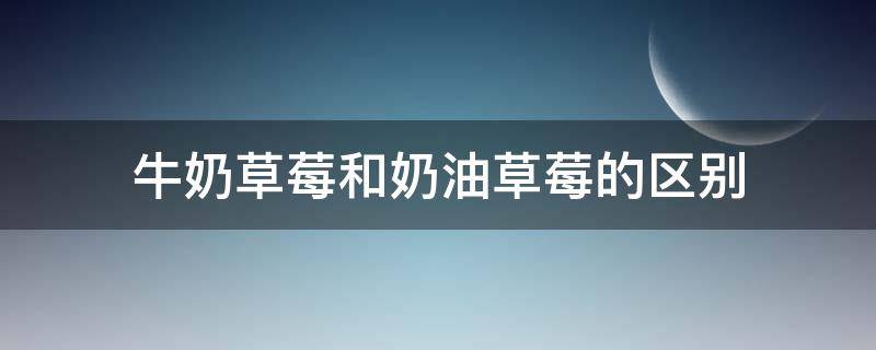 牛奶草莓和奶油草莓的区别 是牛奶草莓还是奶油草莓