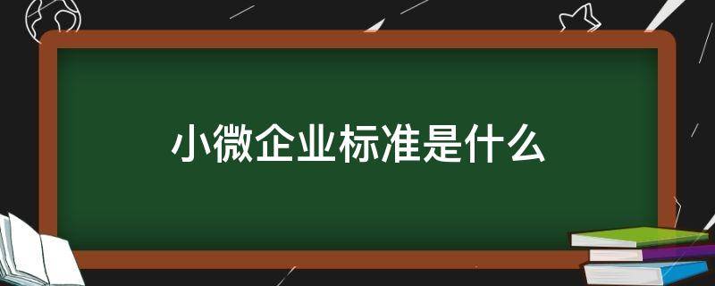 小微企业标准是什么（小微企业标准是什么意思）