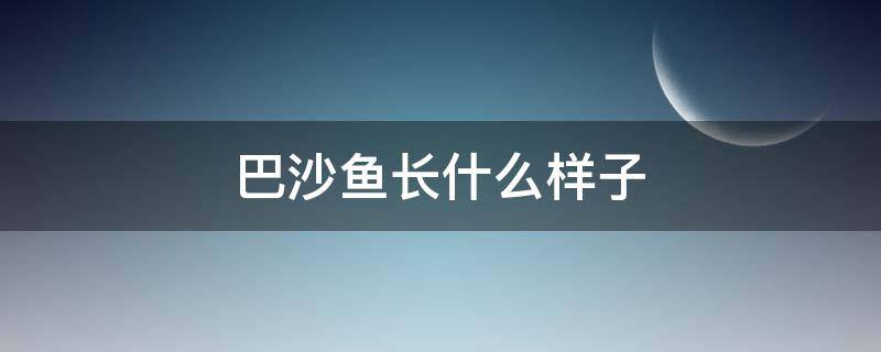 巴沙鱼长什么样子 巴沙鱼长什么样子?