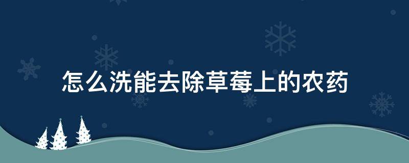 怎么洗能去除草莓上的农药 草莓怎么洗可以去除农药