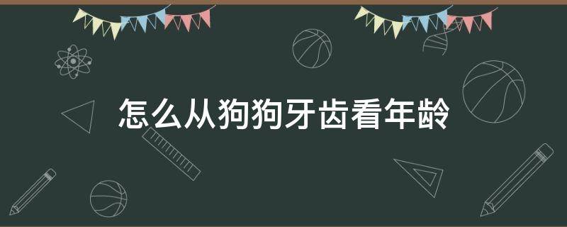 怎么从狗狗牙齿看年龄（小狗怎么从牙齿看年龄）