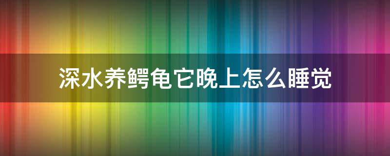 深水养鳄龟它晚上怎么睡觉 鳄龟睡觉的时候是怎样的