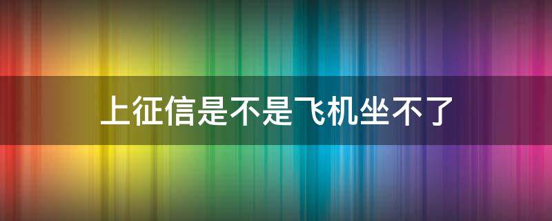 上征信是不是飞机坐不了（征信有问题是不是坐不了飞机）