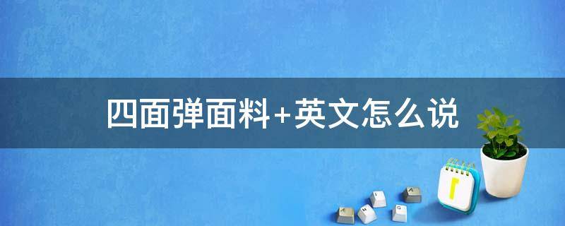 四面弹面料（四面弹面料特点）