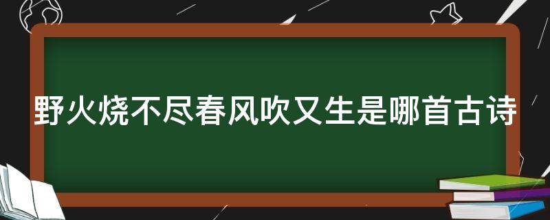 野火烧不尽春风吹又生是哪首古诗（野火烧不尽春风吹又生是哪首古诗几年级学的）