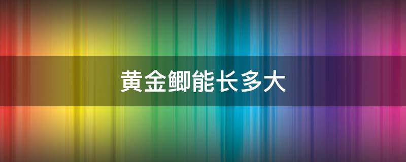 黄金鲫能长多大 黄金鲫能长多大?