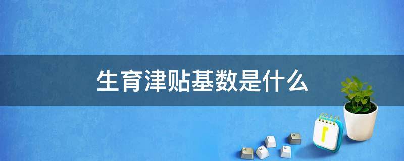 生育津贴基数是什么 生育津贴基数是什么意思