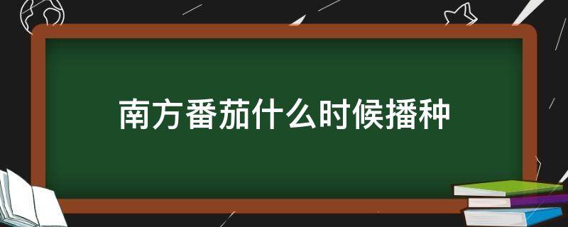 南方番茄什么时候播种（南方茄子什么时候播种）