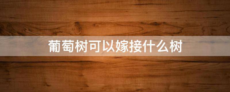 葡萄树可以嫁接什么树 葡萄树可以嫁接什么树?