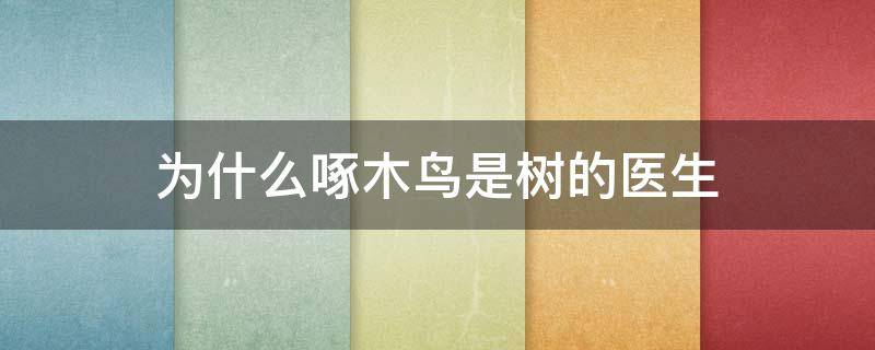 为什么啄木鸟是树的医生 为什么啄木鸟是树的医生请你写一写