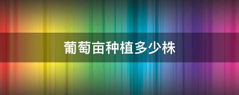 葡萄亩种植多少株 葡萄每亩种多少株