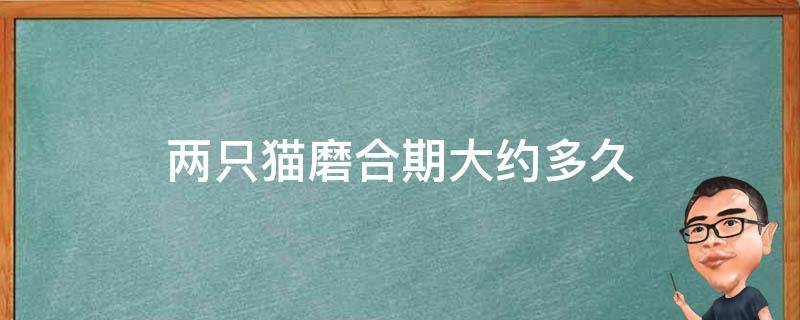 两只猫磨合期大约多久 两只猫磨合期大约多久一大一小