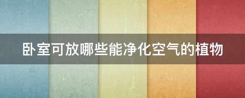 卧室可放哪些能净化空气的植物 卧室可以放哪些植物净化空气