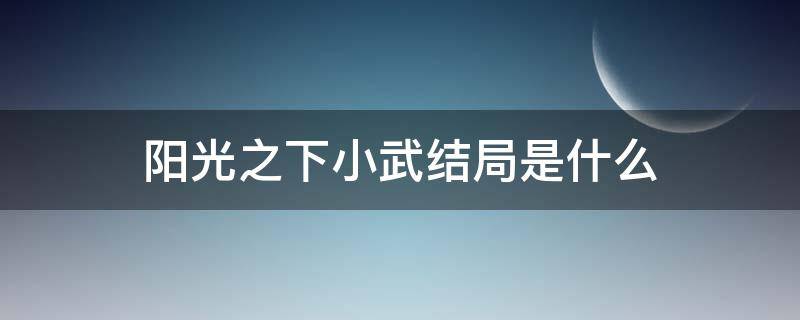 阳光之下小武结局是什么（阳光之下里的小武结局）