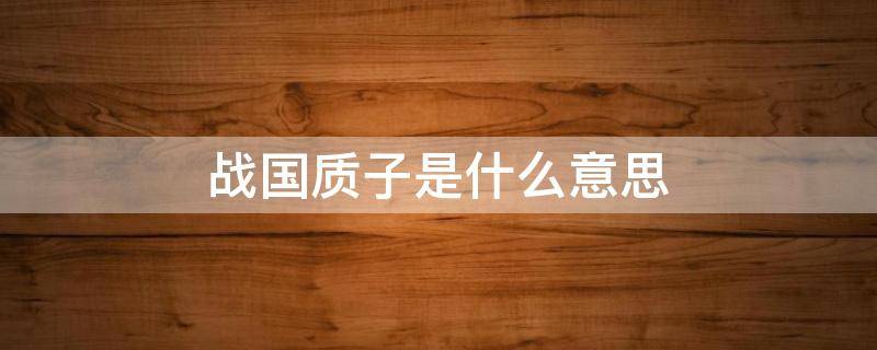 战国质子是什么意思 战国时质子是什么意思