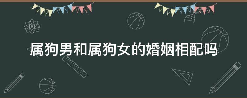 属狗男和属狗女的婚姻相配吗 属狗男与属狗女婚姻合适吗