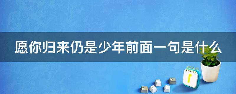 愿你归来仍是少年前面一句是什么（愿你归来仍是少年前面一句是什么兵哥哥）