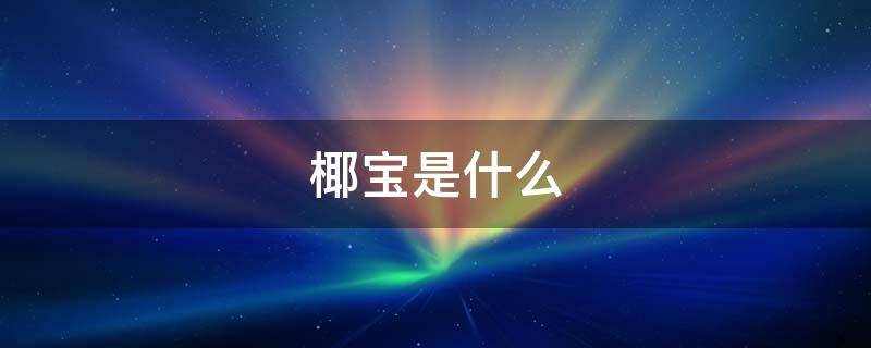 椰宝是什么（海南椰宝是什么）