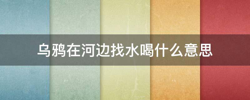 乌鸦在河边找水喝什么意思 乌鸦在河边找水喝是什么意思