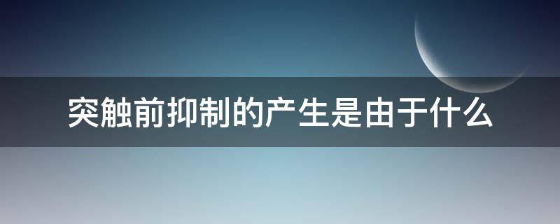 突触前抑制的产生是由于什么（突触前抑制是由于什么所致）