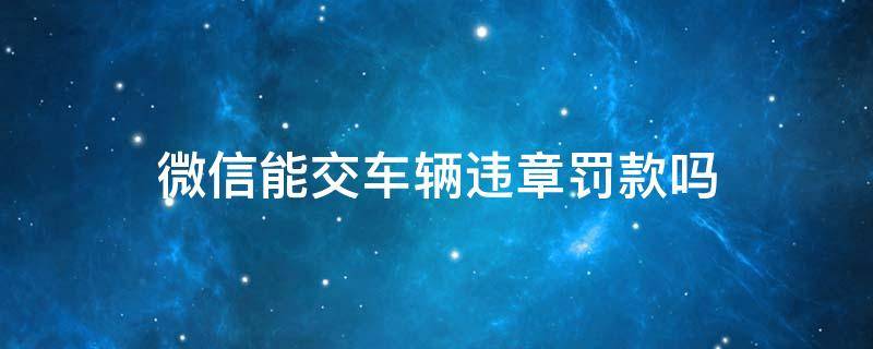 微信能交车辆违章罚款吗（微信可以交车辆违章罚款吗）