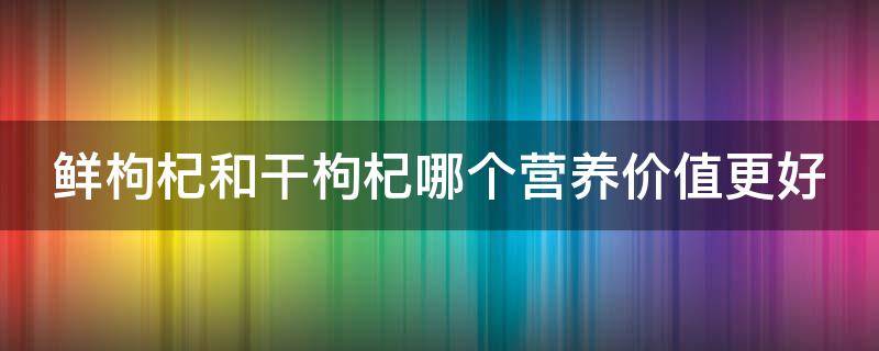 鲜枸杞和干枸杞哪个营养价值更好 鲜枸杞与干枸杞功效一样吗