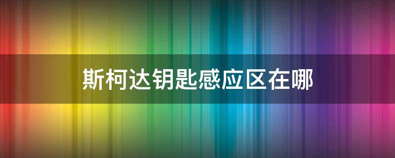 斯柯达钥匙感应区在哪 斯柯达柯迪亚克的钥匙感应区在哪里