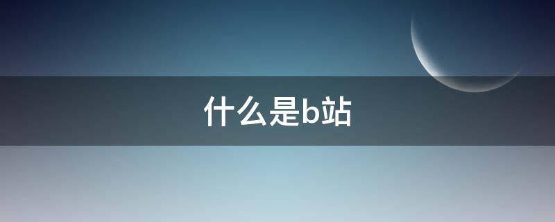 什么是b站（什么是b站up主）