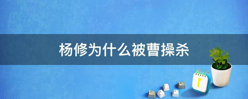 杨修为什么被曹操杀（杨修为什么被曹操杀视频）